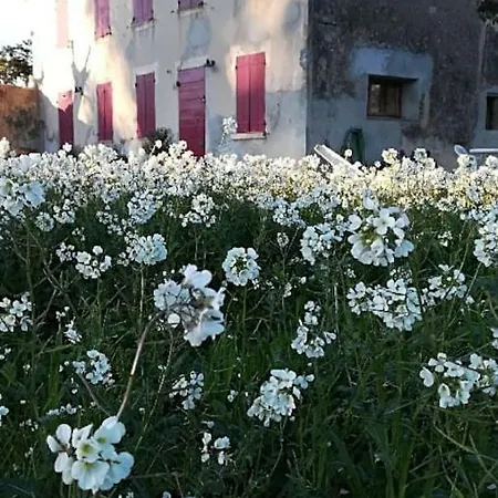 Holiday home L'abri *